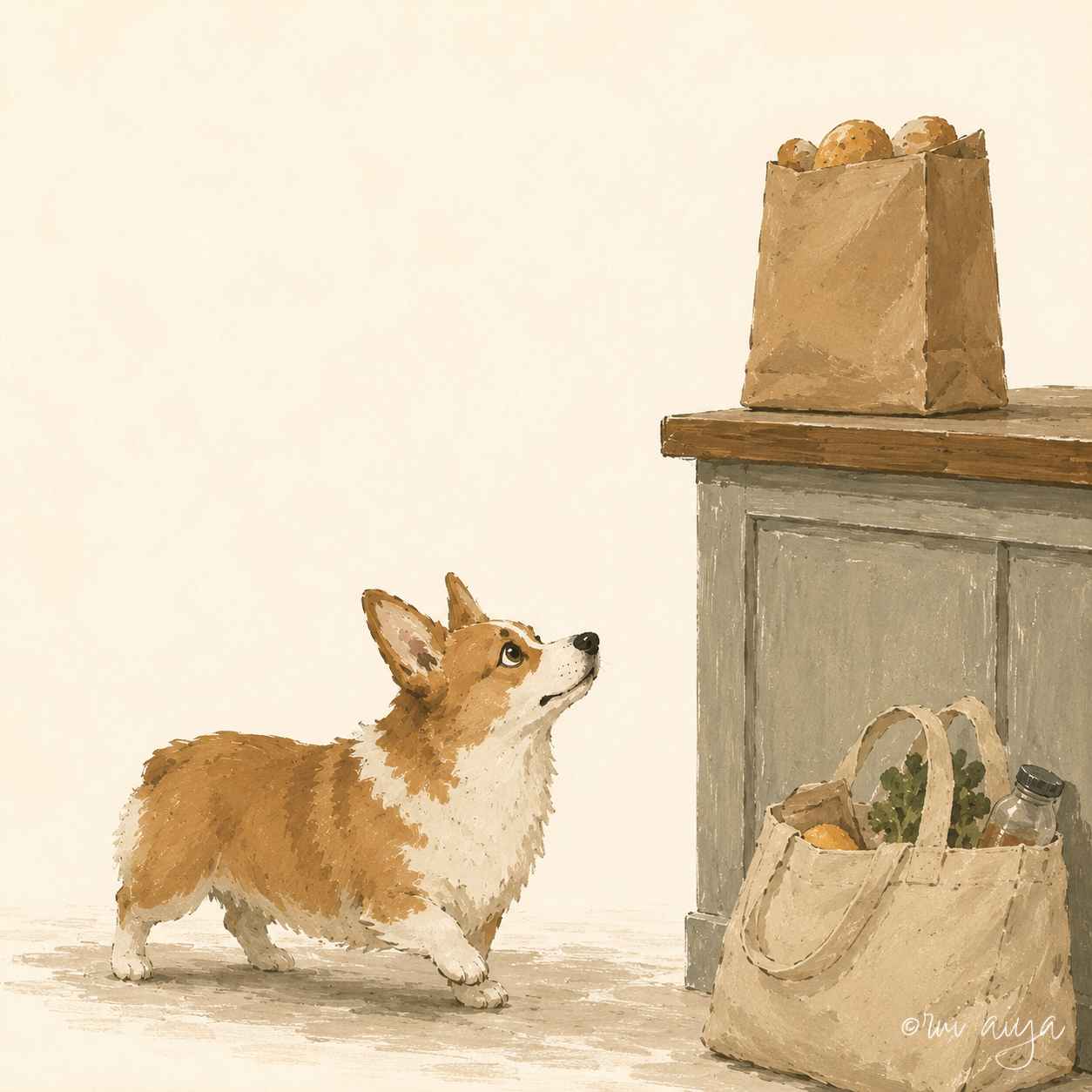 Basha Journal — the grocery bag