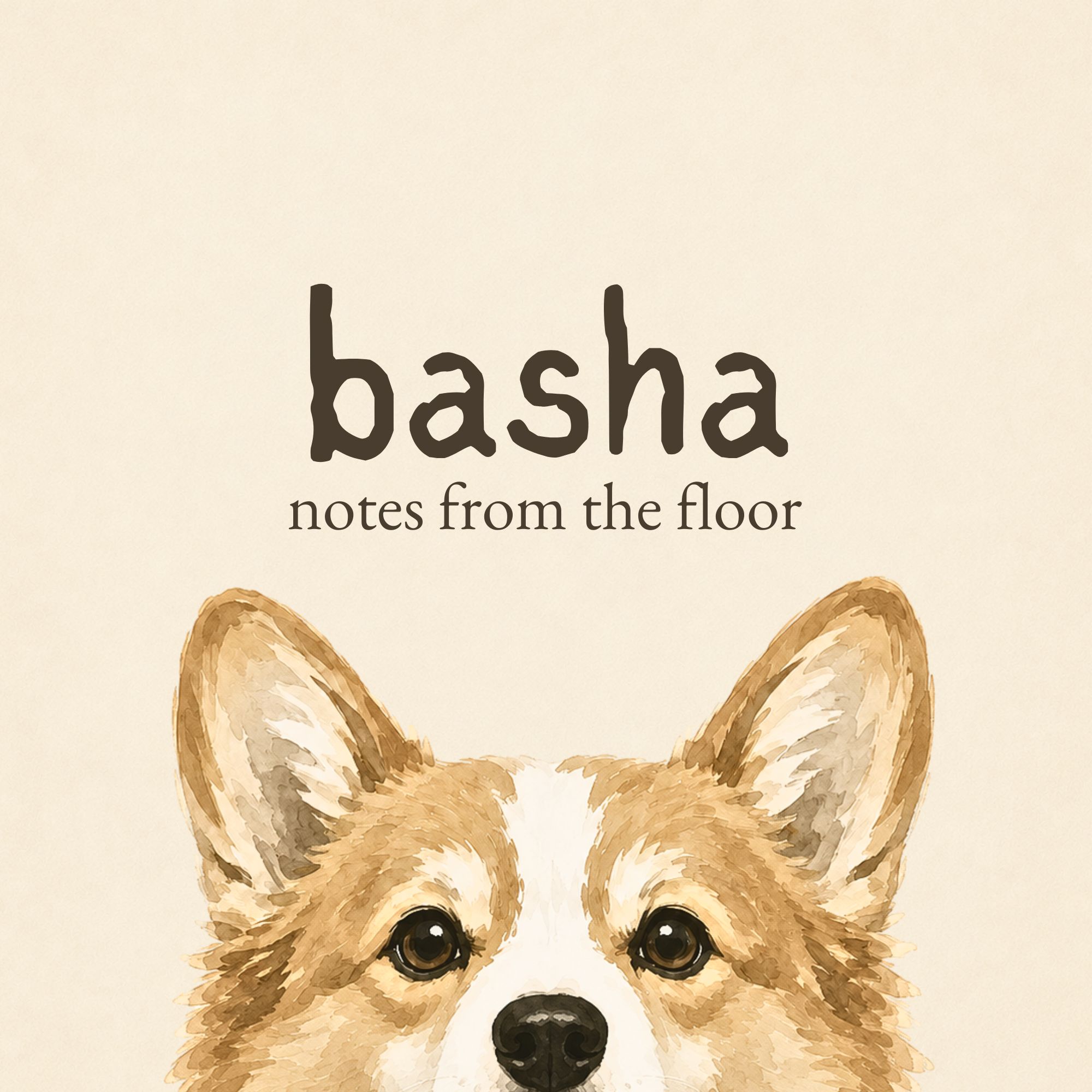 basha. notes from the floor. book cover
