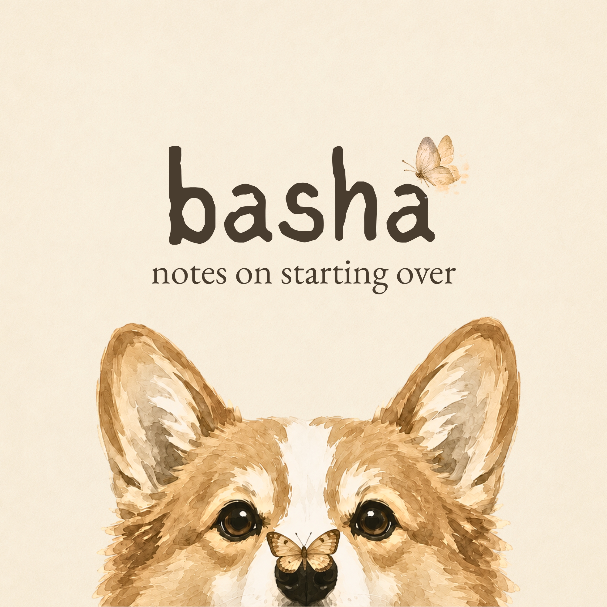 basha. notes on starting over. book cover